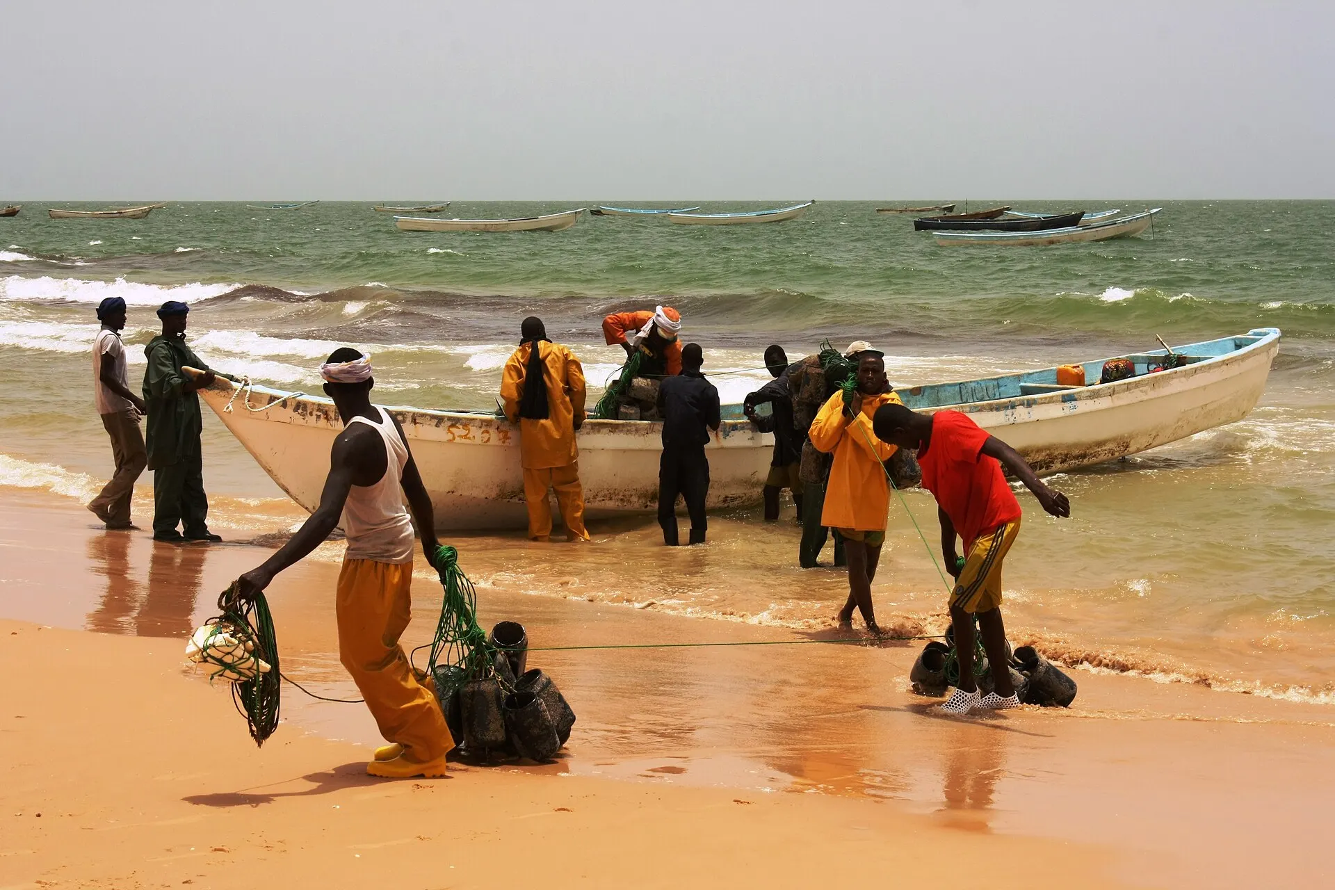 Fishermen pulling a pirogue ashore after octopus fishing, Mauritania