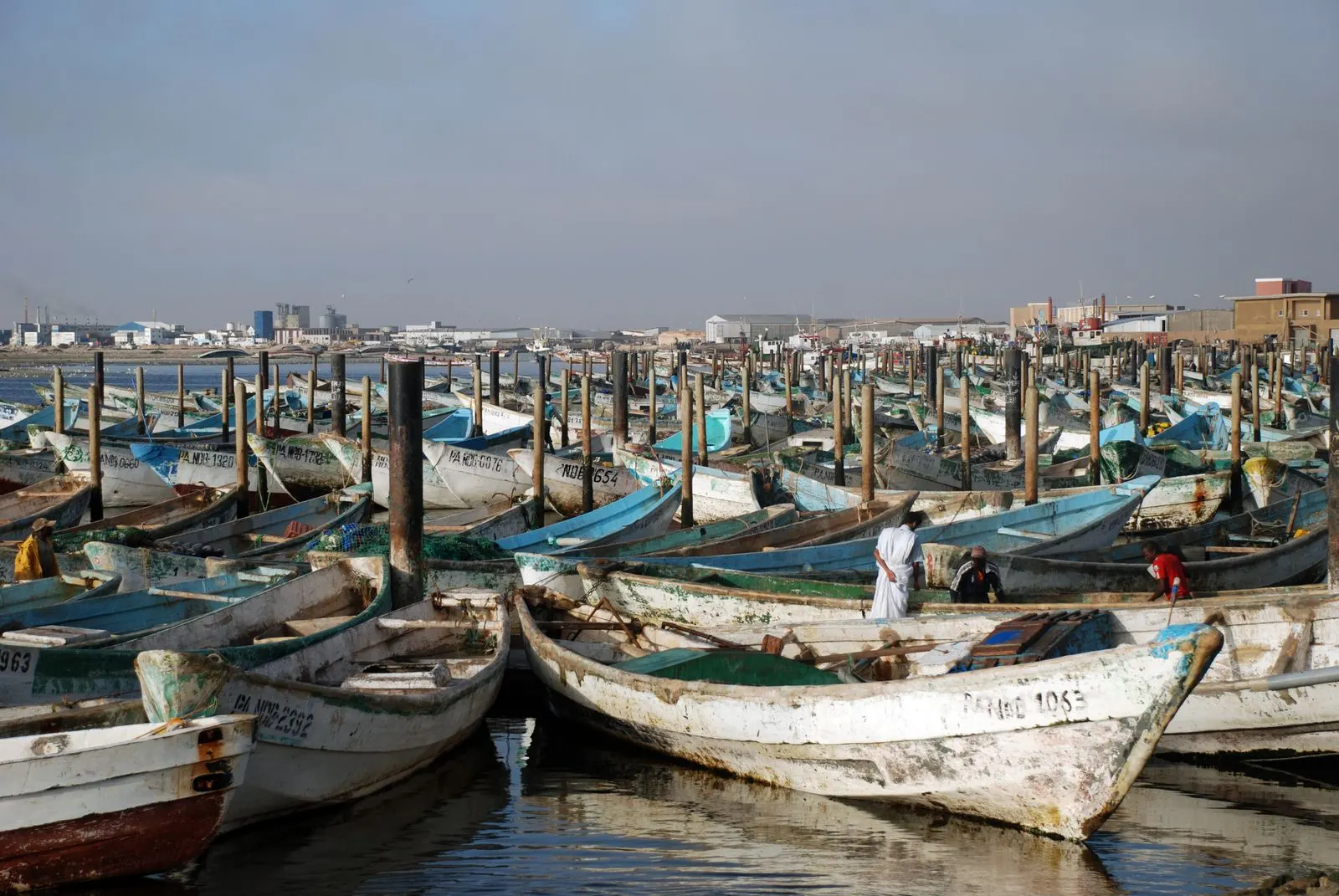 Pirogues moored in the artisanal port of Nouadhibou