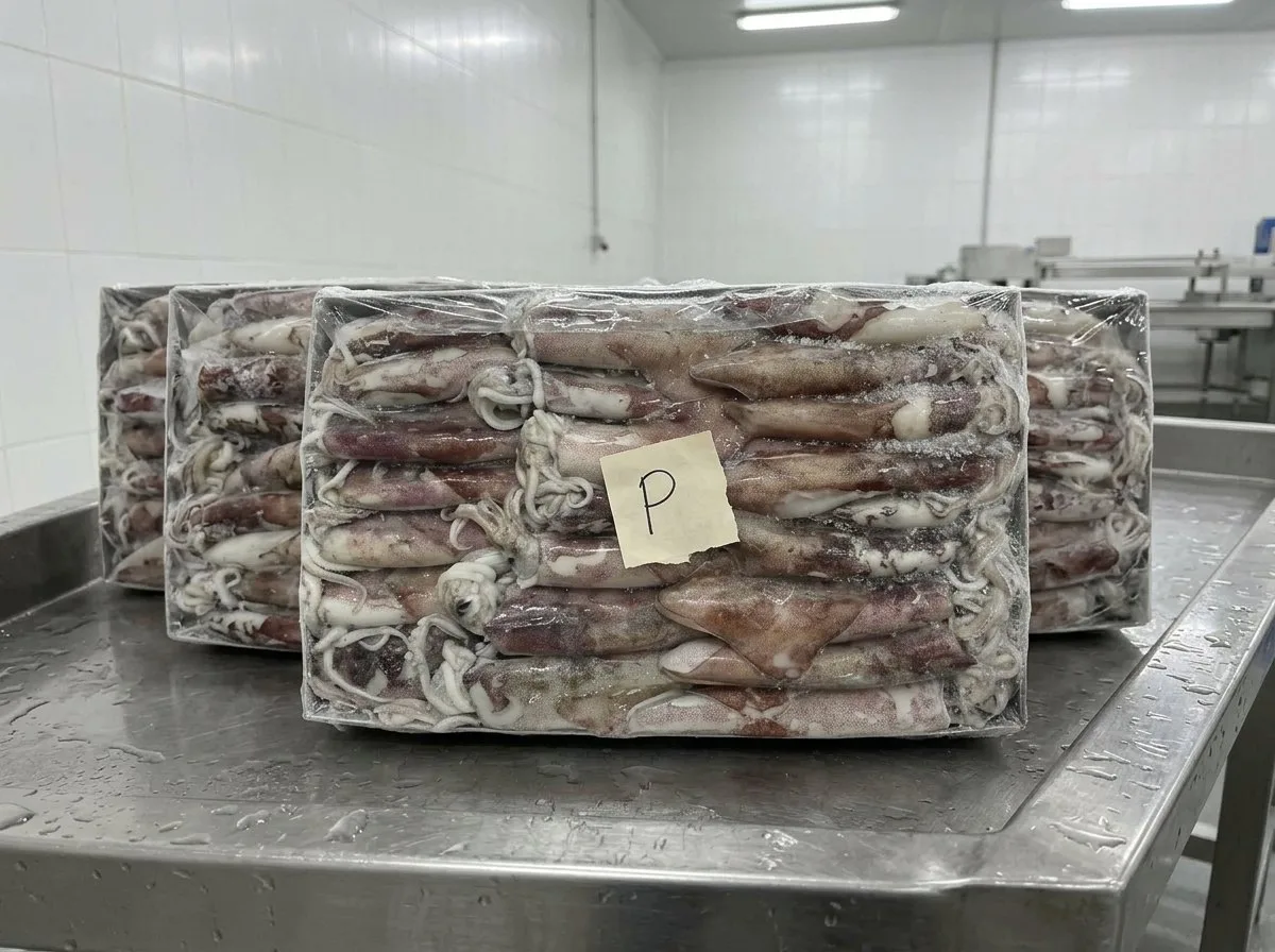 European squid (Loligo vulgaris) – whole round · whole cleaned, iqf · block · fresh on ice